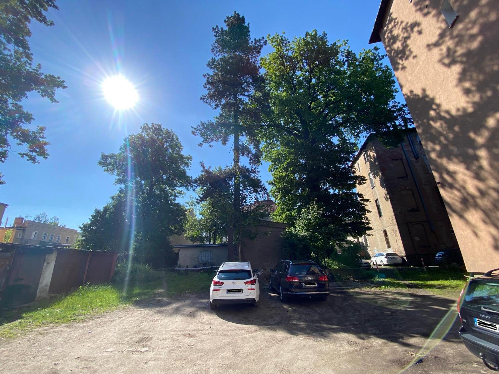 32-glam - Deerrest * Jelenia Gora